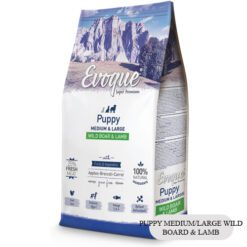 evoque puppy medium large divo prase
